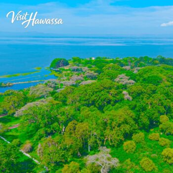 662877768_973608625180239_8186565726380525053_n